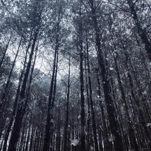 Metcn模特白灵1000人体艺术
