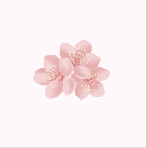 Metcn模特白灵1000人体艺术
