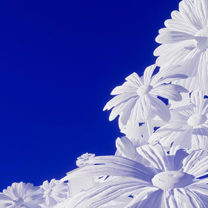 Metcn模特白灵1000人体艺术
